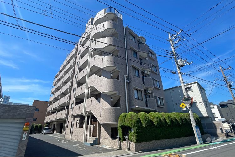 モリス川口