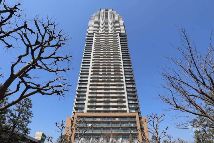 エルザタワー55