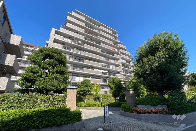 アメニクス川口