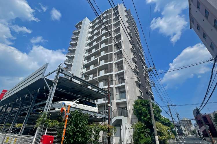 ラヴィドール川口