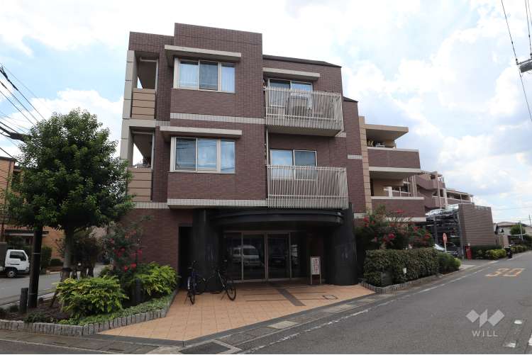 アンビシャス鳩ヶ谷