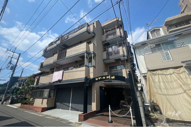 セザール川口