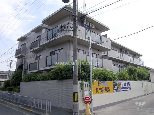 グリーンエクセルくれは