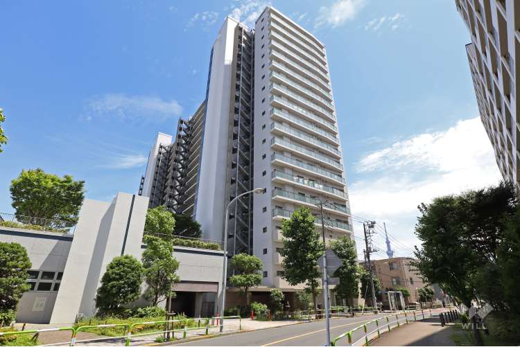 リバーフェイス