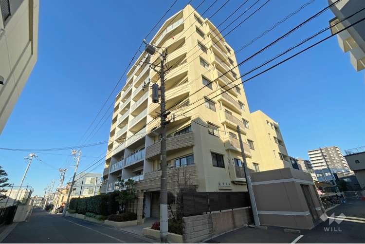 アデニウム田端