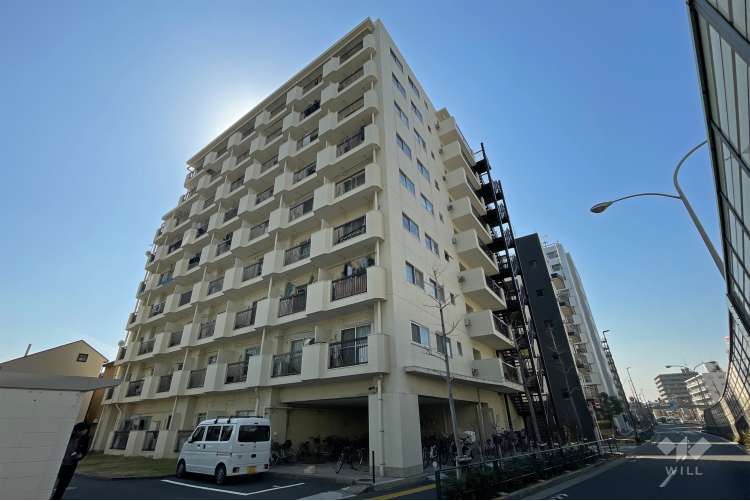 藤和亀有コープ