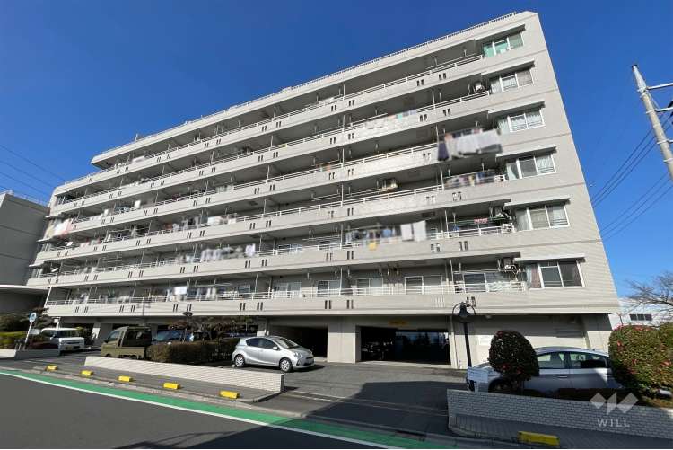 グリーンパーク花畑6