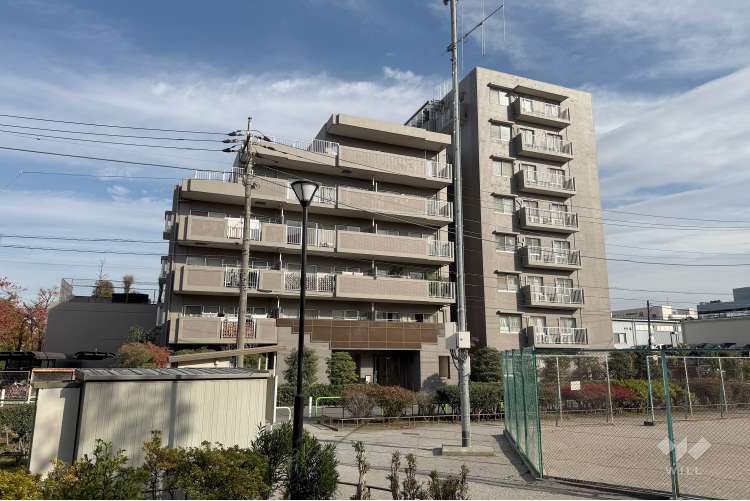 ライネスハイム志村