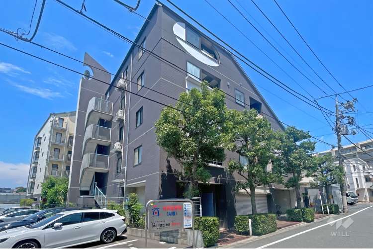 サラータ赤塚
