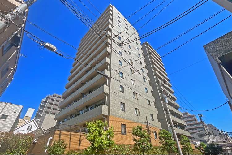 ダイアパレスエスタヴォール大山