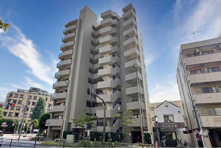 ゼファー大山ファムエール