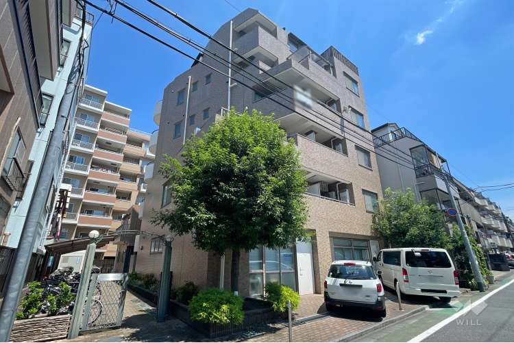 エクセル大山ハシモト