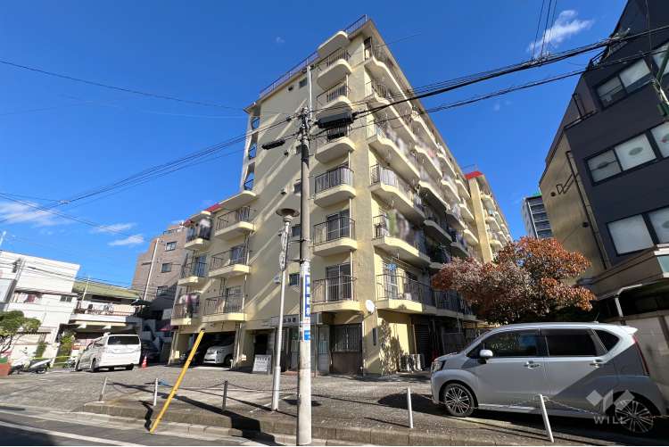 メゾンゴールド