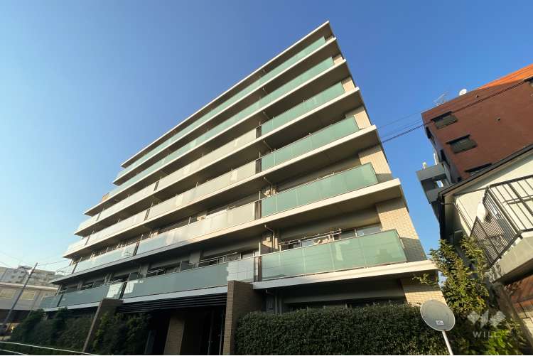 アデニウム板橋浮間公園