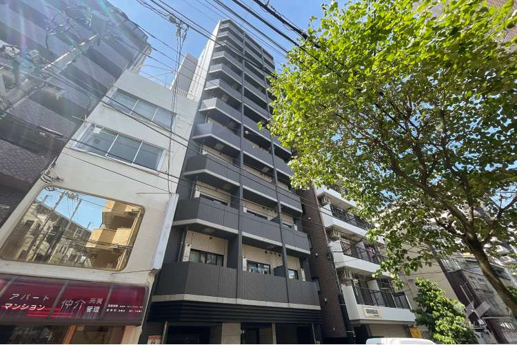 ディップス東十条駅前プレミアム