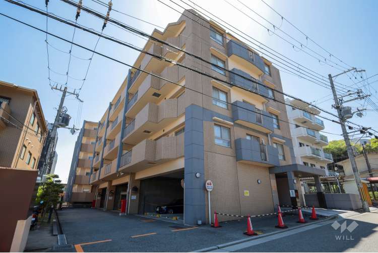 ネバーランド宝塚小林