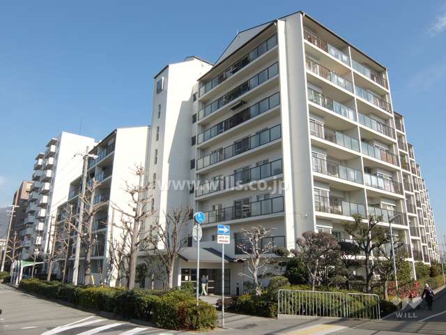 ジークレフ青木