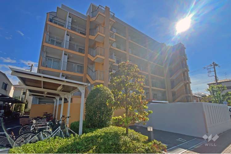 エンゼル柴又プロムテラス