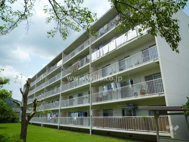 清和台センターハイツN棟