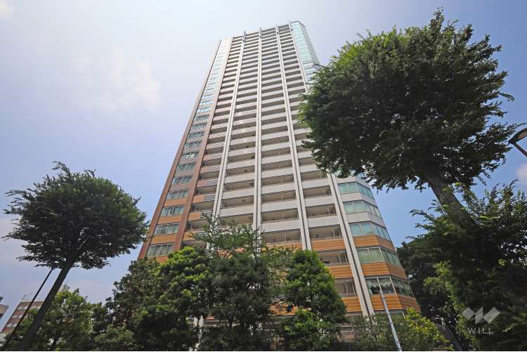 武蔵野タワーズスカイクロスタワー