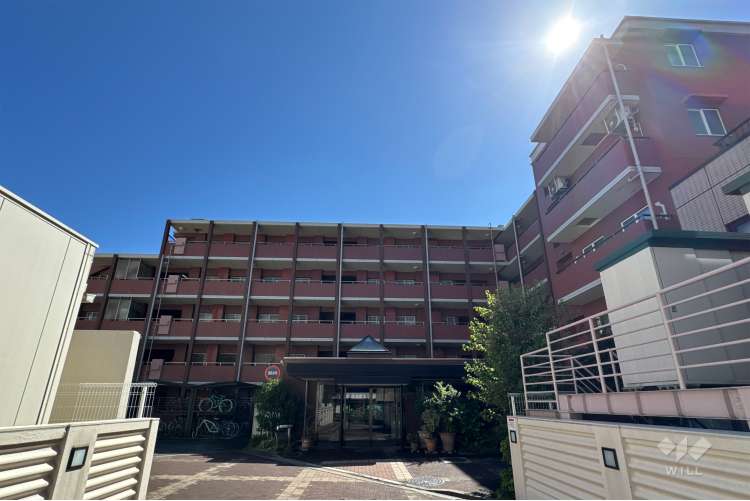 ラヴィドール武蔵境