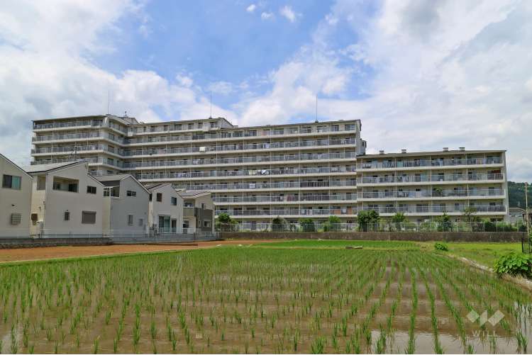 メゾン宝塚山本