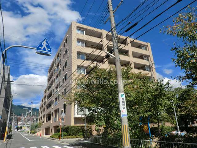 ロジュマンスティーロ御影