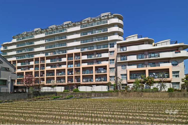 パレ宝塚プルミエール