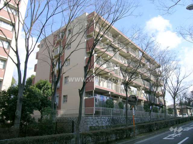 公団北緑丘第2住宅11号棟