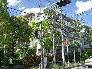 公団千里緑丘団地10号棟