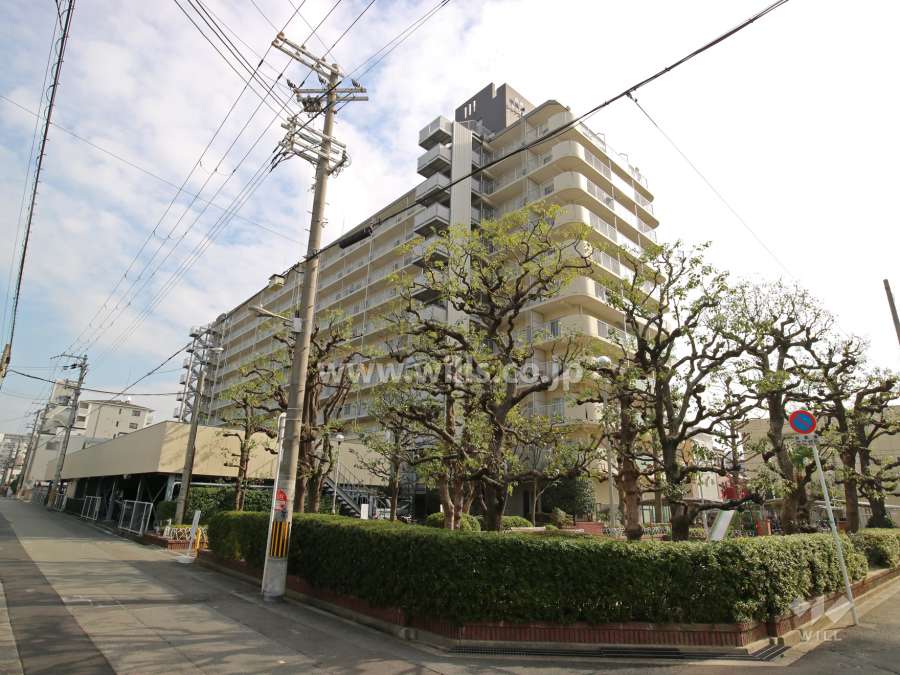新高レックスマンションの外観（北西側から）