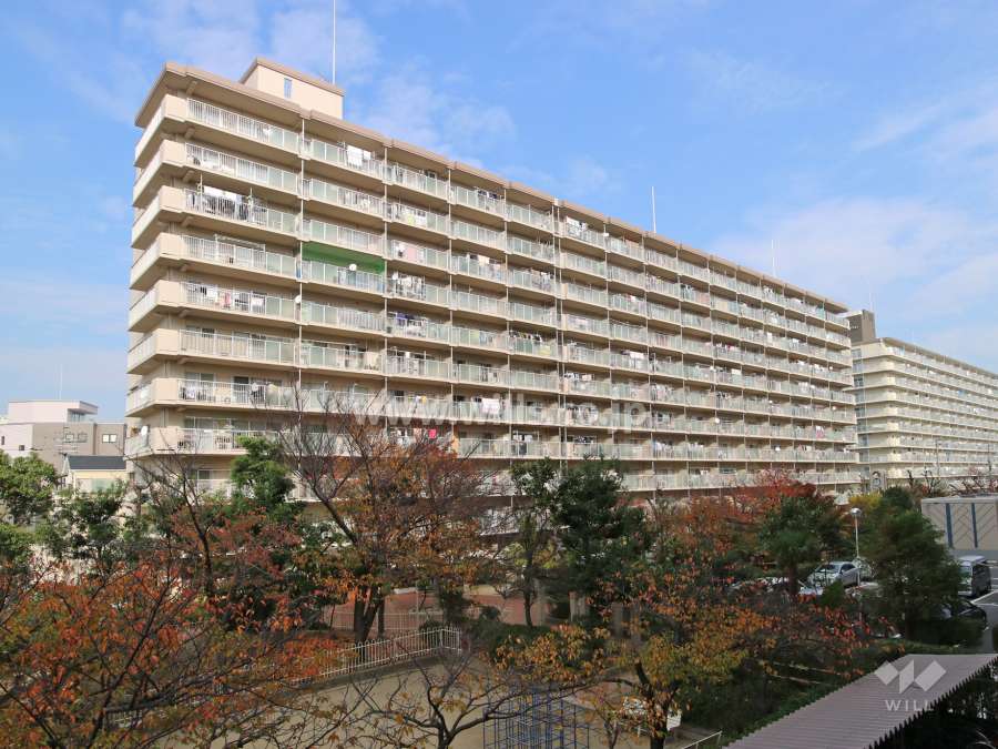 レックスタウン新高1号棟の外観（南西側から）