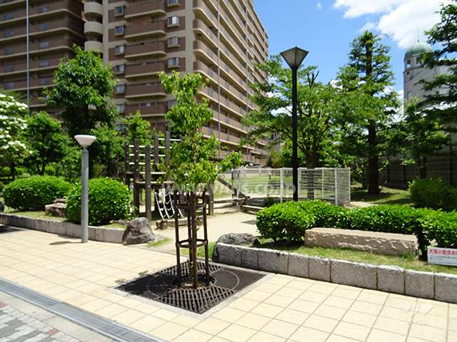 敷地内に公園があります。