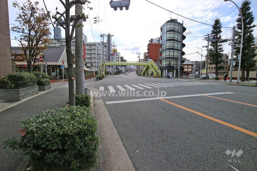 敷地西側の前面道路。国道176号線です。