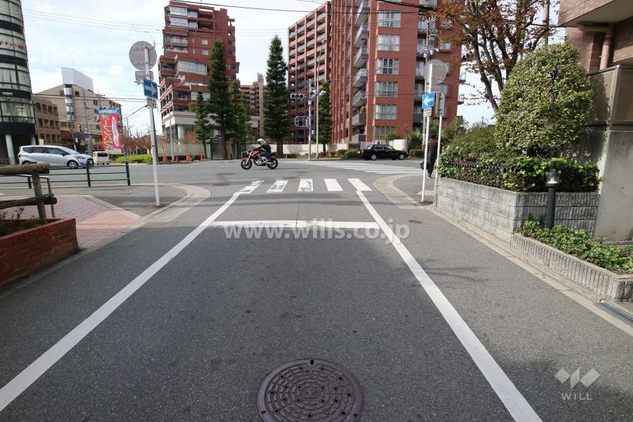 敷地南側の前面道路