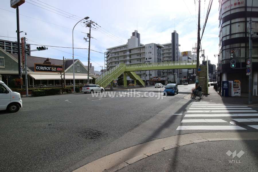 敷地東側の前面道路。国道176号線です。