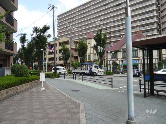敷地東側の前面道路(南側から)