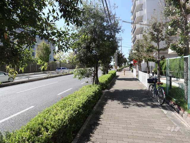 敷地南側の前面道路