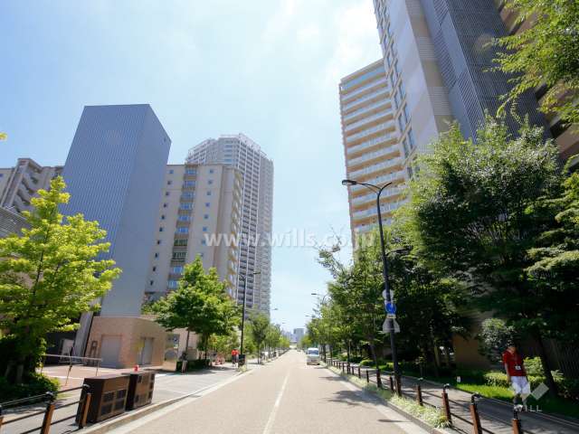 敷地東側の前面道路。街路樹が並ぶ通り