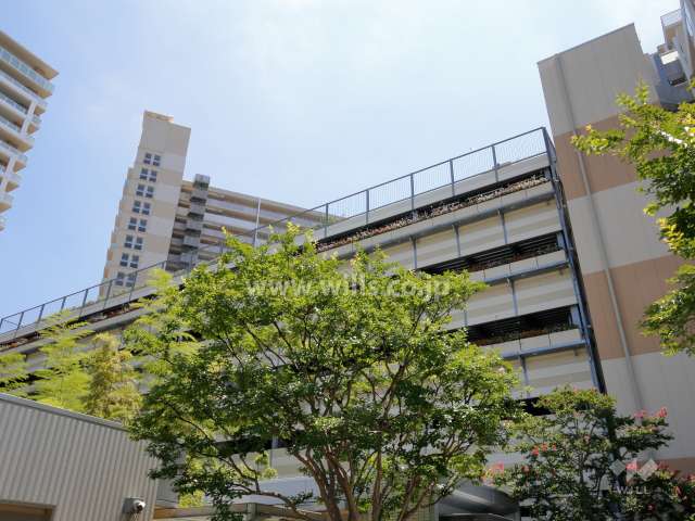 駐車場棟の壁面にも一部植栽スペースがあります。