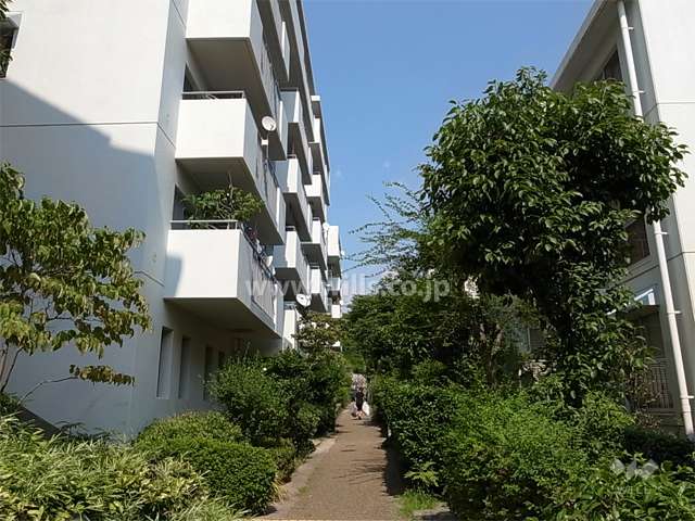 敷地南側は緑道に面しています。