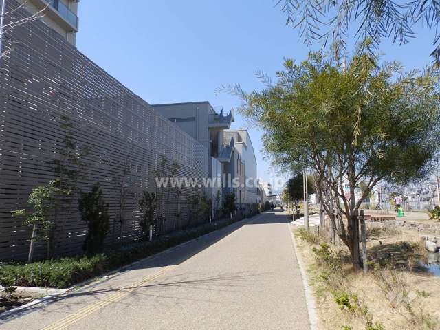 敷地東側前面道路