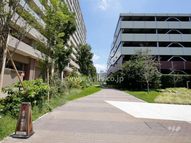 敷地南側には隣地マンションの駐車場棟があります。