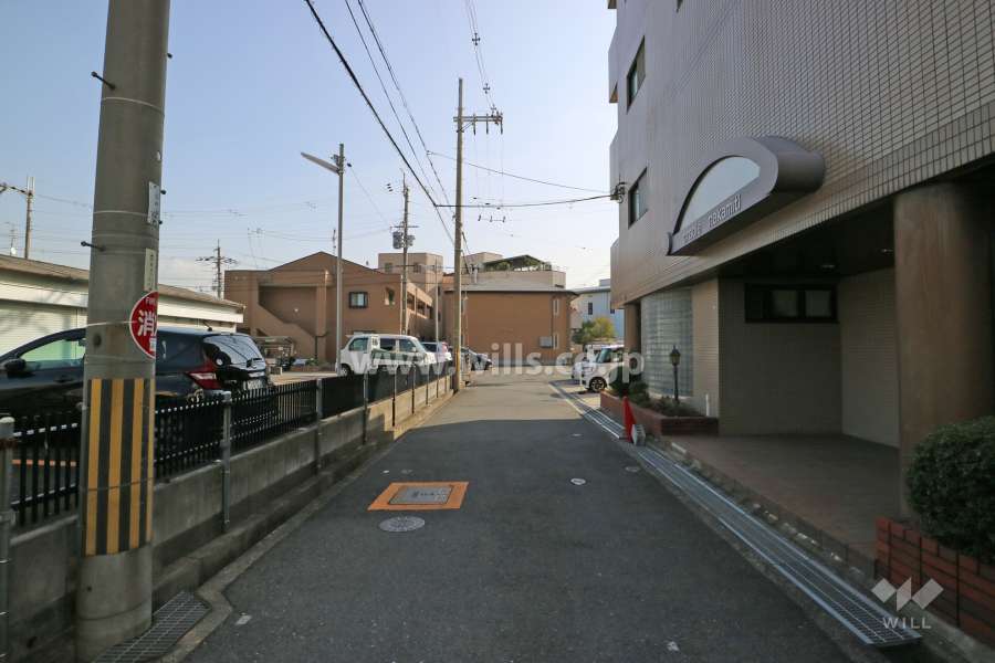 敷地の南側前面道路