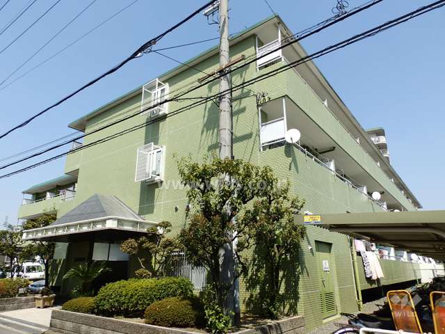 マンション外観(南西側から)