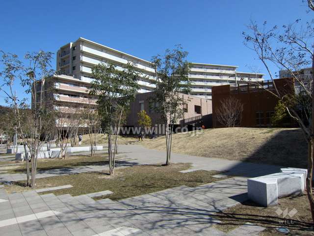 敷地内の各所に植栽スペースがあります。