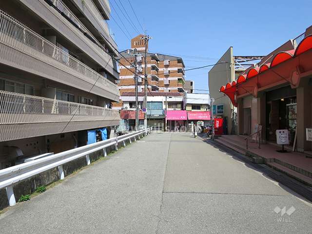 敷地北側の前面道路