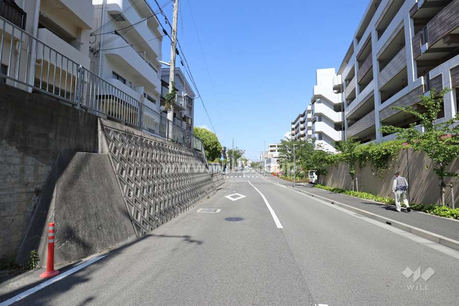 敷地北側の前面道路（西側から）