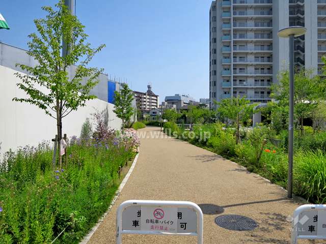 敷地東側の通路（北側から）