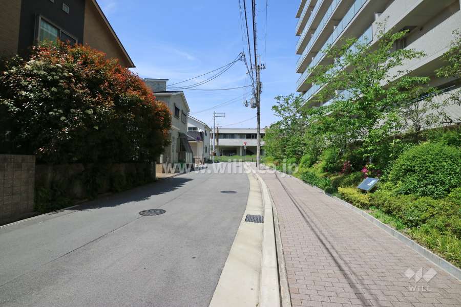 敷地西側前面道路(西側から)